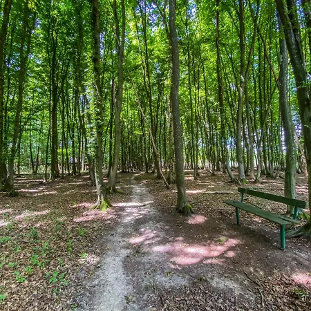 Moslavacka Prica Holiday Homes Mala Ludina Exteriér fotografie